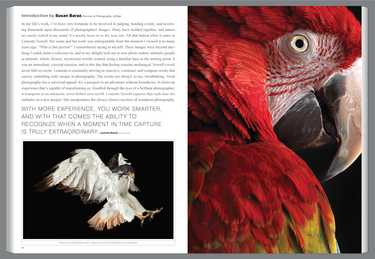Graphis Journal Magazine 368