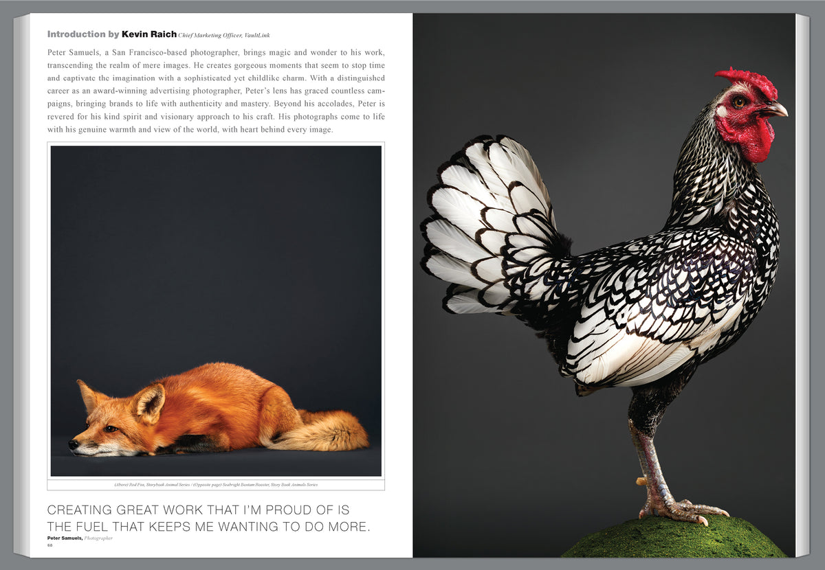 Graphis Journal Magazine 381