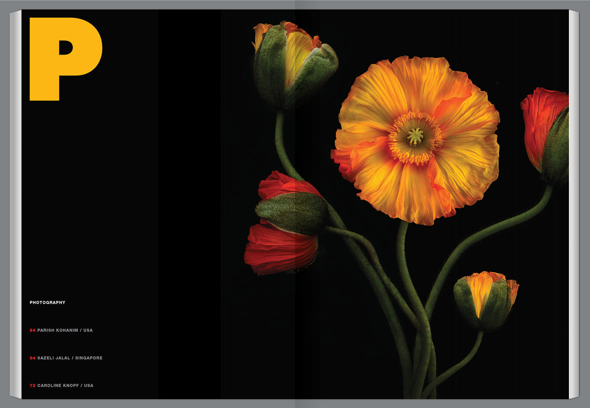 Graphis Journal Magazine 361