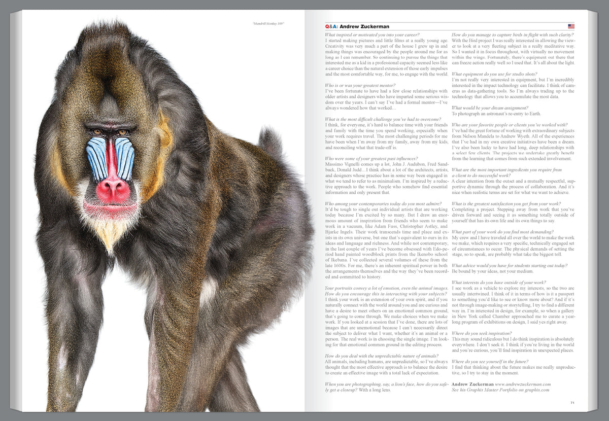 Graphis Journal Magazine 358