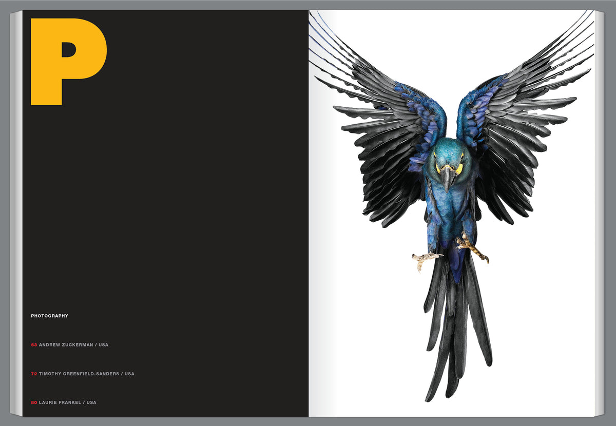 Graphis Journal Magazine 358
