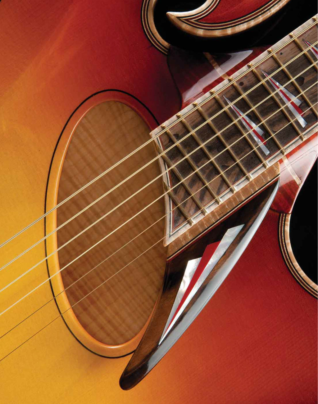 Archtop Guitars - Digital Version – Graphis