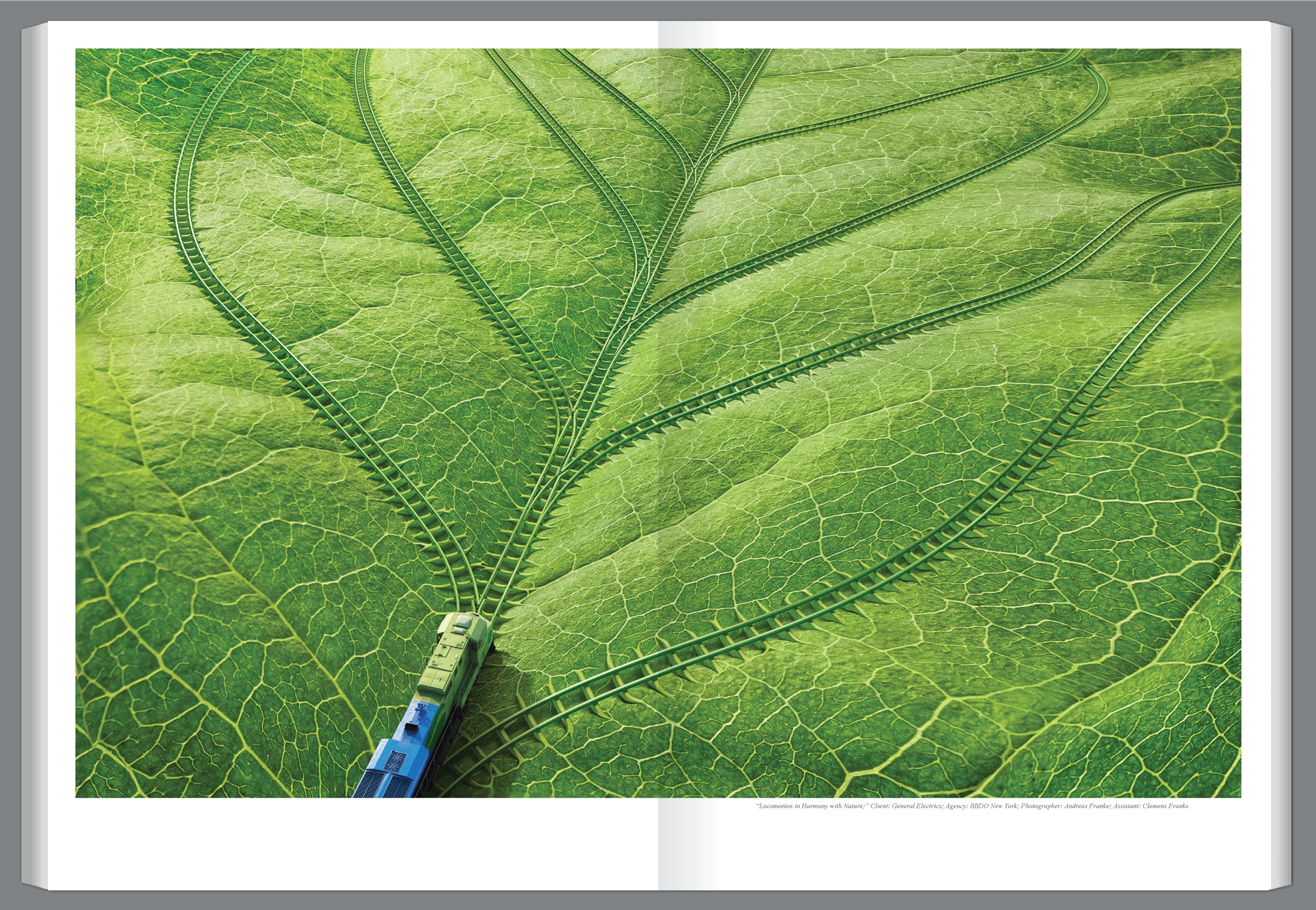 Graphis Journal Magazine 359